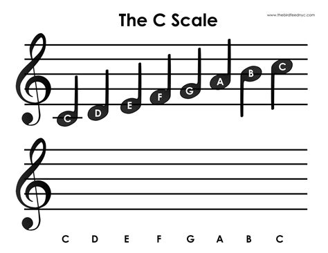 what does c mean in music what is the significance of c major scale